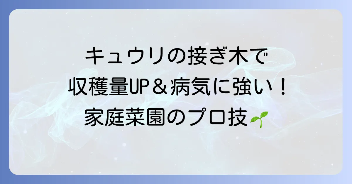 キュウリの接ぎ木やり方!メリットから成功のコツまで徹底解説