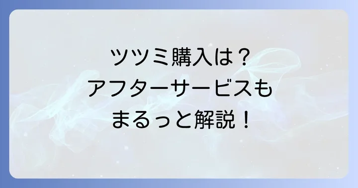 ツツミピアスの購入方法とアフターサービス