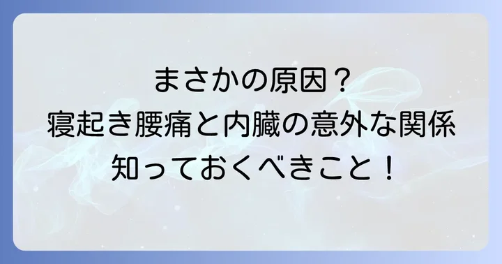 寝起き腰痛と内臓の関係性とは？そのメカニズムを理解しよう