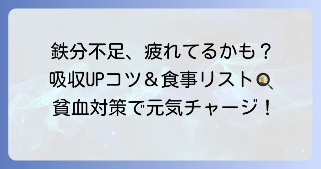 鉄分を効率よく摂れる食べ物を徹底解説！貧血対策と吸収を高めるコツ