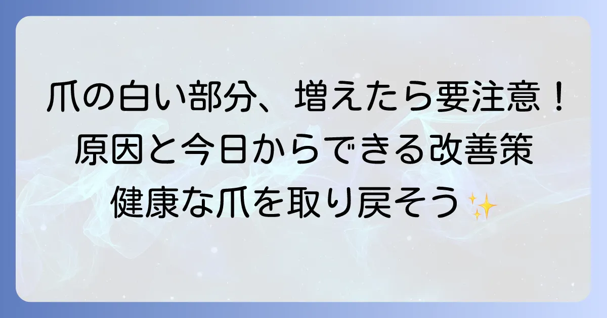 爪の先の白い部分が増える原因と今日からできる改善方法を徹底解説
