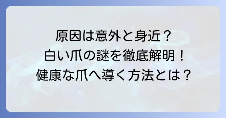 爪の先白い部分が増えるのはなぜ？主な原因を理解しよう