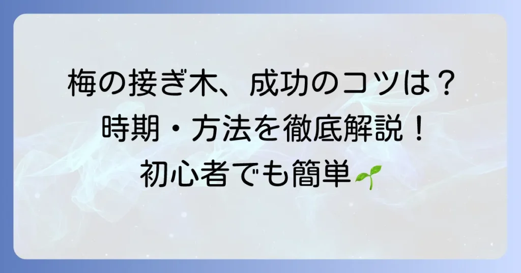 梅の接ぎ木時期を徹底解説！成功するためのコツと失敗しないための注意点