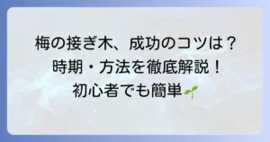梅の接ぎ木時期を徹底解説！成功するためのコツと失敗しないための注意点