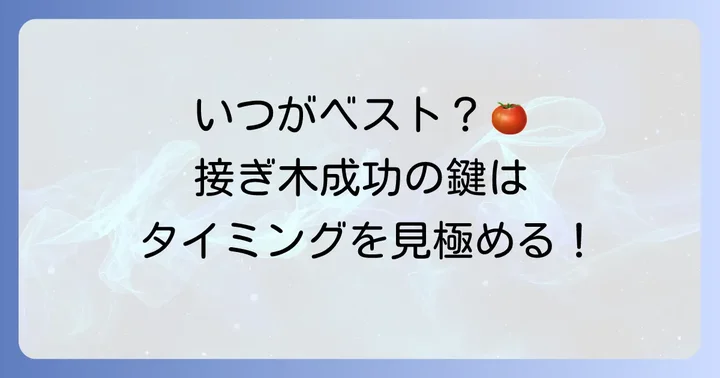 トマト接ぎ木の適切な時期とタイミング