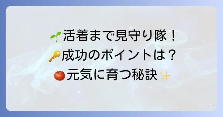 トマト接ぎ木後の管理と活着までの注意点