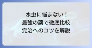 水虫最強の薬はどれ？市販薬と病院の薬を徹底比較し、完治のコツを解説