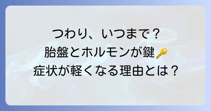 胎盤完成とつわりの関係性：なぜ症状が軽くなるのか