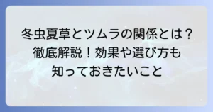 冬虫夏草はツムラの漢方薬？その効果と選び方を徹底解説