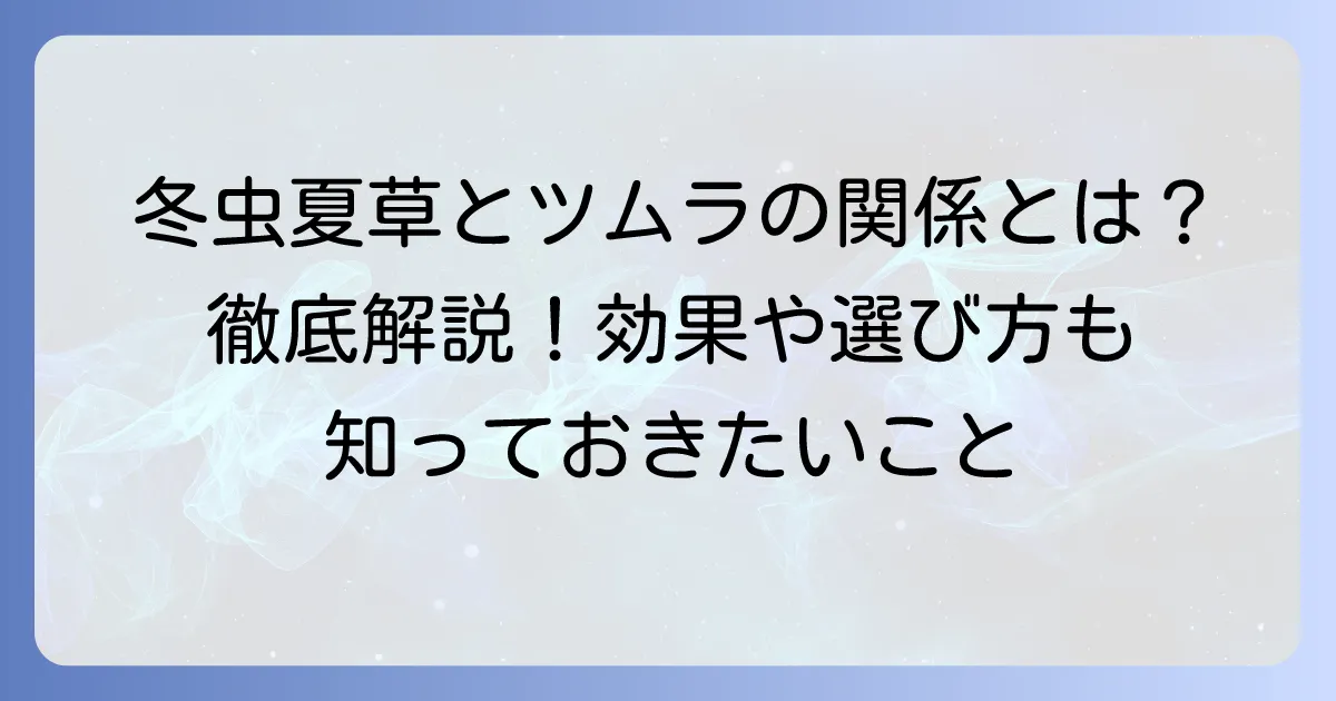 冬虫夏草はツムラの漢方薬？その効果と選び方を徹底解説