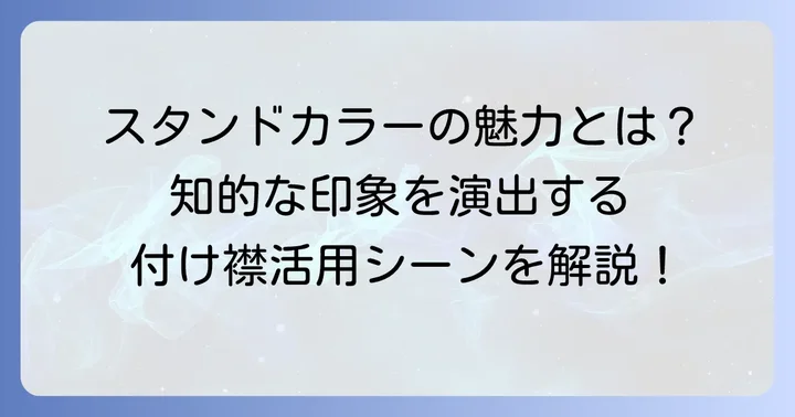 付け襟スタンドカラーとは？その魅力と活用シーンを解説