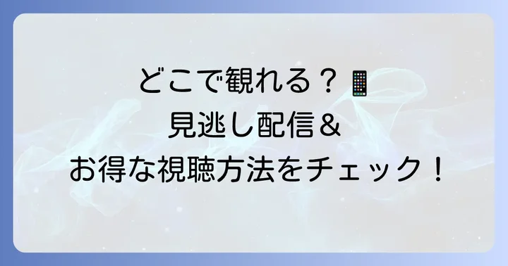 「力強い女トボンスン」を最大限に楽しむ視聴方法