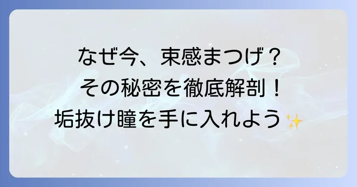 束感つけまつげの魅力とは？今、注目される理由を深掘り