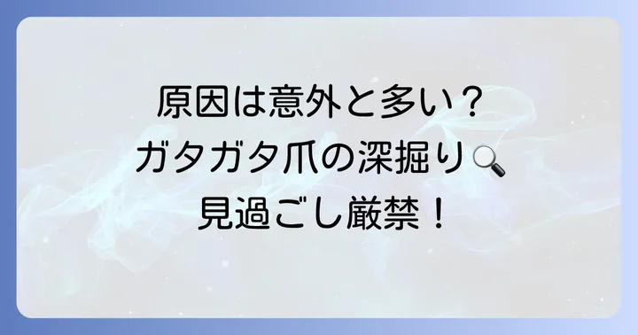 爪の白い部分がガタガタになる主な原因