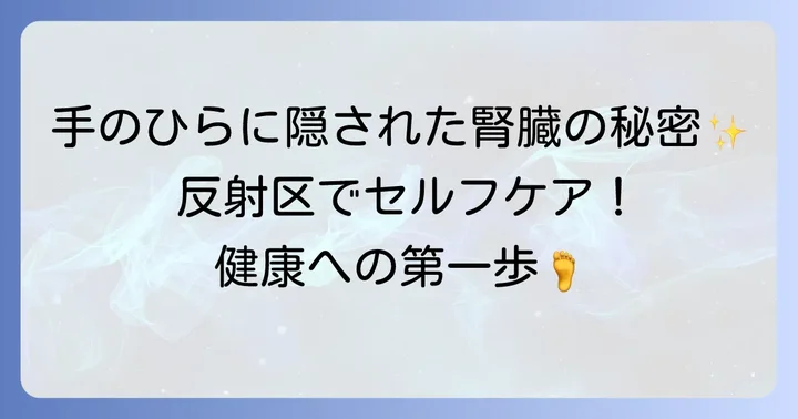 手のひらツボ腎臓の反射区とは？基本を知ろう