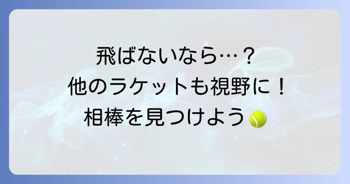 ダンロップSX300以外の「飛ぶ」ラケットも検討してみよう