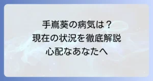 手嶌葵の病気の噂は本当？現在の健康状態と活動状況を徹底解説