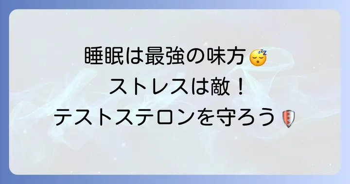 質の良い睡眠とストレス管理でテストステロンを守る