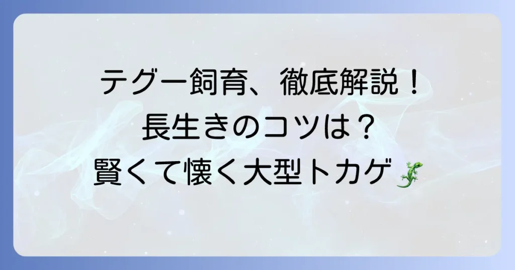 テグーの飼い方徹底解説！種類ごとの特徴から長生きさせるコツまで