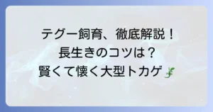 テグーの飼い方徹底解説！種類ごとの特徴から長生きさせるコツまで