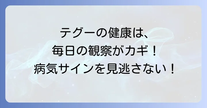 テグーの健康管理と病気予防！日々の観察と対策