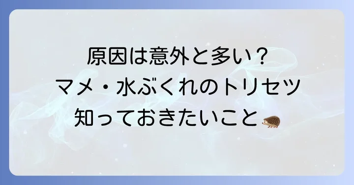 手のマメ水ぶくれができる主な原因