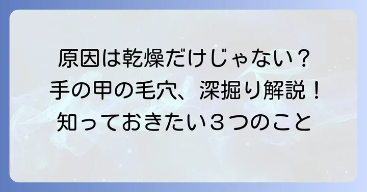 手の甲の毛穴が目立つ原因を知る