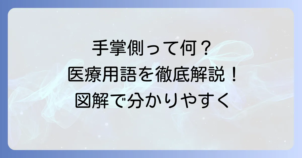 手掌側の読み方と意味を徹底解説！医療現場で役立つ関連用語も