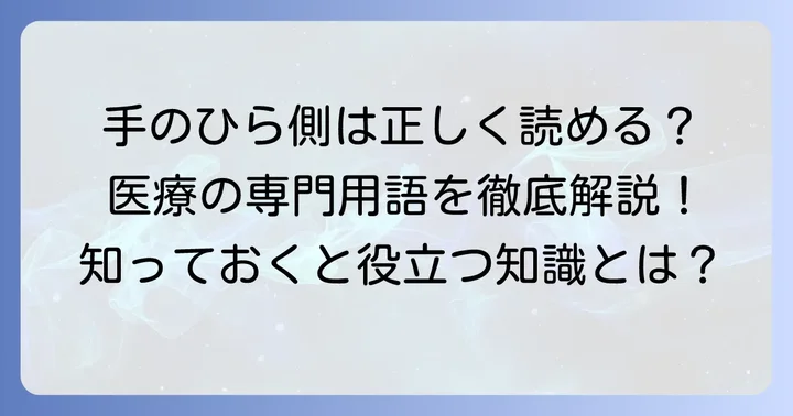 手掌側とは？正しい読み方と基本的な意味