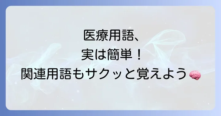 医療現場で役立つ！手掌側と合わせて覚えたい関連用語