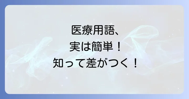 手掌側などの専門用語を学ぶ重要性