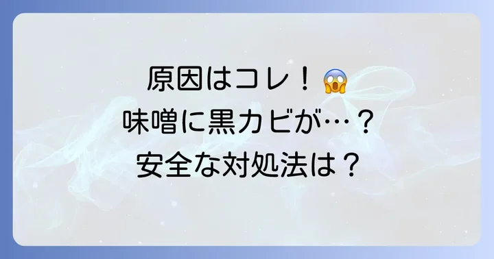 手作り味噌に黒カビが発生する主な原因とは？