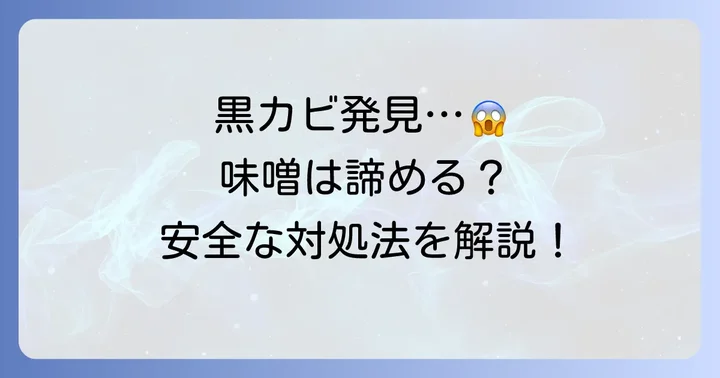 もし黒カビが発生してしまったら？安全な対処法