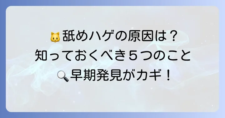 猫が舐めすぎてはげるのはなぜ？考えられる主な原因