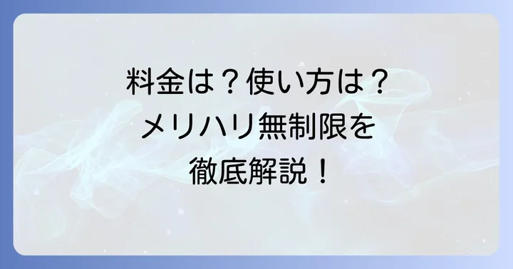 メリハリ無制限の基本情報と料金体系