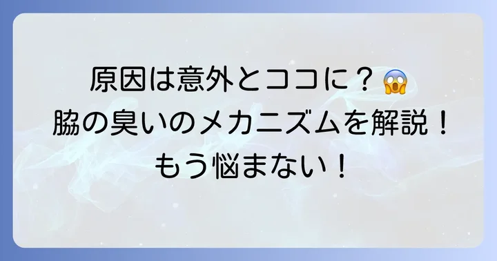 なぜ脇を触った手が臭くなるの？主な原因を理解しよう