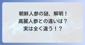 朝鮮人参の漢字の謎を解明！高麗人参や食用の人参との違いも徹底解説