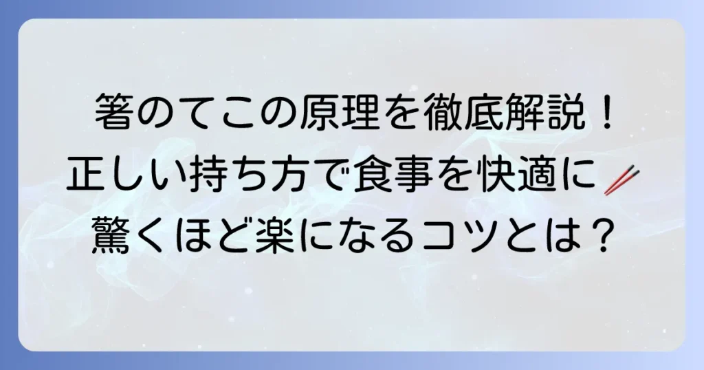 箸のてこの原理を徹底解説！正しい持ち方で食事を快適にする方法
