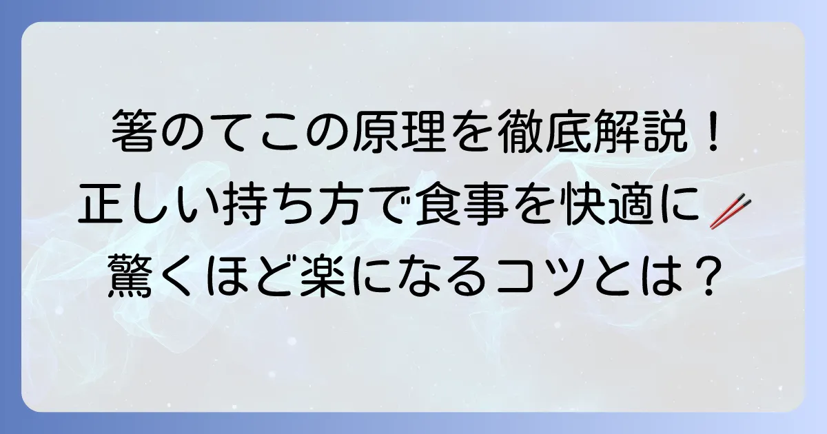 箸のてこの原理を徹底解説！正しい持ち方で食事を快適にする方法