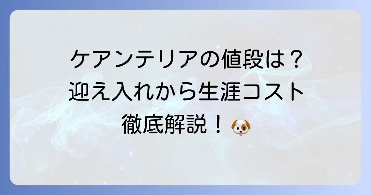 ケアンテリアの値段の相場と飼育費用を徹底解説！迎え入れ方法から生涯コストまで