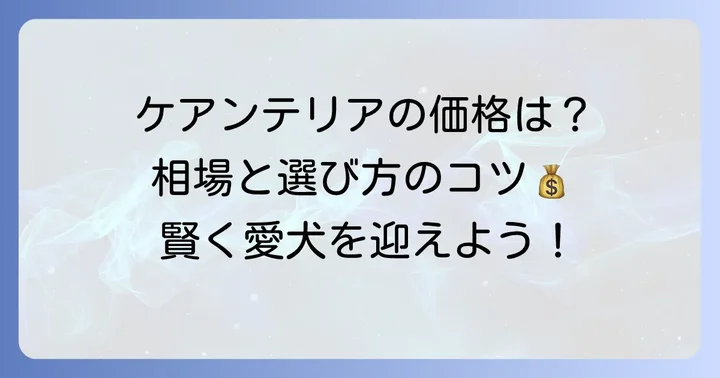 ケアンテリアの値段相場と価格に影響する要素