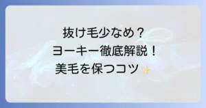 ヨークシャテリアの抜け毛は少ない？原因と対策、美しい被毛を保つ方法を徹底解説