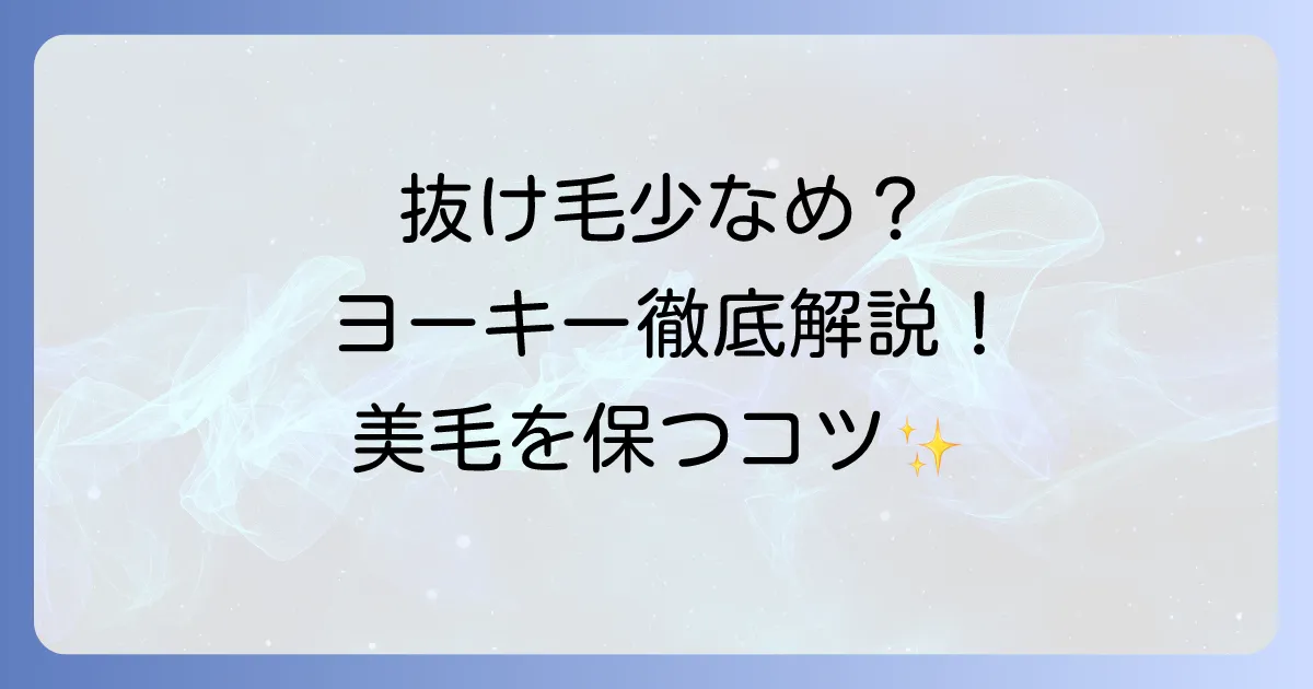 ヨークシャテリアの抜け毛は少ない？原因と対策、美しい被毛を保つ方法を徹底解説