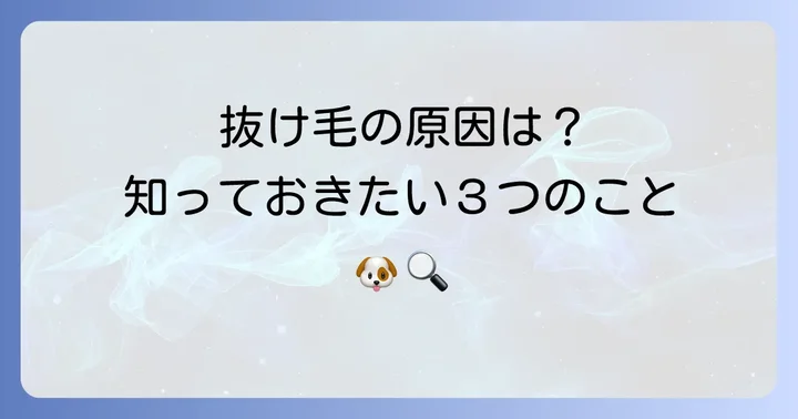 ヨークシャテリアの抜け毛が増える主な原因