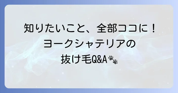 よくある質問