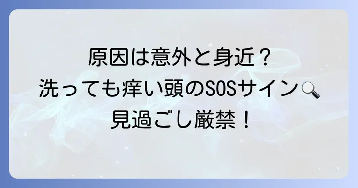 洗っても痒い頭の主な原因とは？
