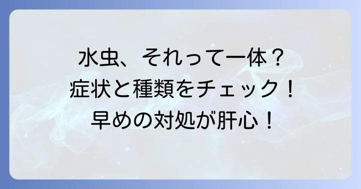 手水虫や足水虫とは？症状と種類を理解しよう