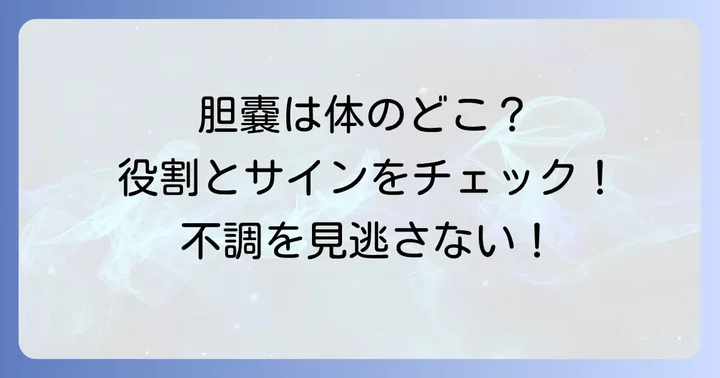 胆嚢の働きと不調のサインを知ろう