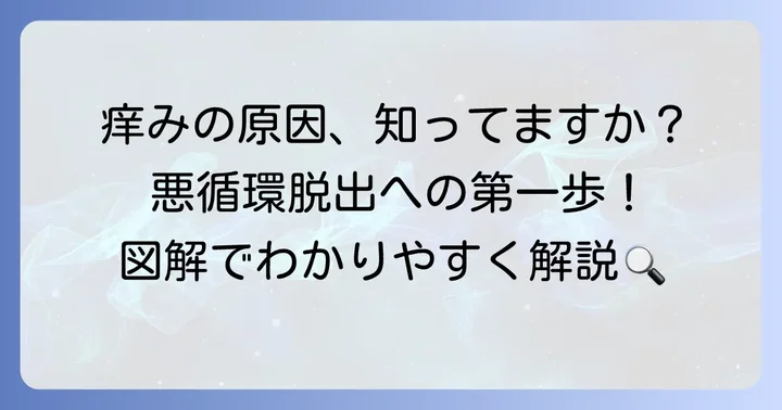 痒くてかくとブツブツが出るのはなぜ？主な原因を理解しよう
