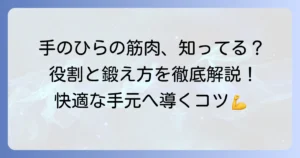 手のひらの筋肉の名前と役割を徹底解説！鍛え方とケアで快適な手元へ